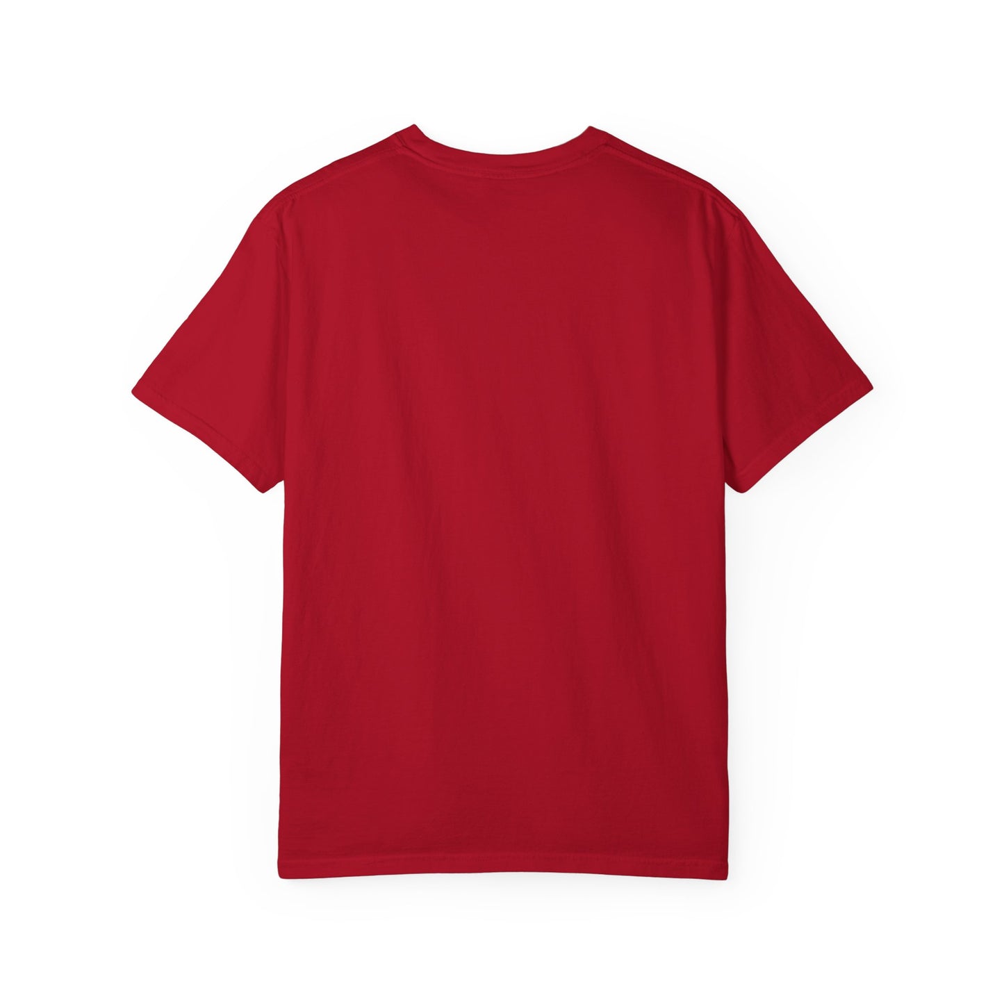 Stylish SWAGG 10BB Unisex Garment-Dyed T-Shirt, Casual Wear, Streetwear, Gift for Him/Her, Comfortable Everyday Tee